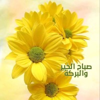 ا ا