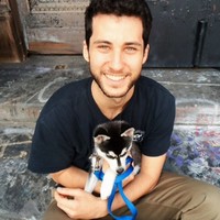 Matt Solomon