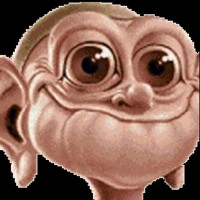 steffes schi
