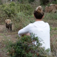 Jessica Shuttleworth