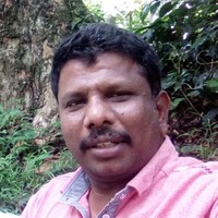 Harikrishnan Nagalingam