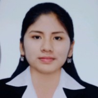 Iris Geraldine Castilla Villagaray