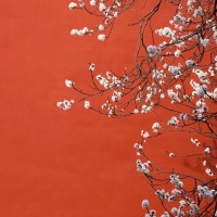 Ngoc Hanh Pham