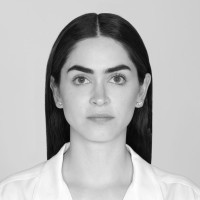 Ana Karen Llamas López