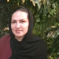 Elham Zarsav