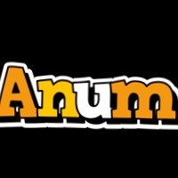 Anum Aamir