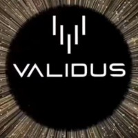 مصطفي امير مصطفي