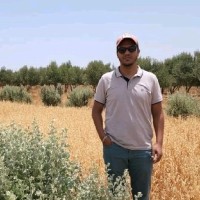 Elghalmi Othmane