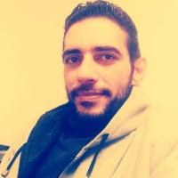 Karim Elwakeel