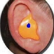 Audimed Colombia Bogotá