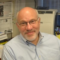 David Prouty