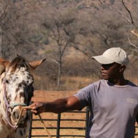 Mpilo Zondi