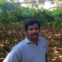 Sivaprakasam P