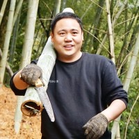 王保华
