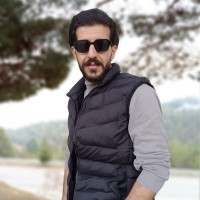 Seyed Saleh Mir Mohammad Ali