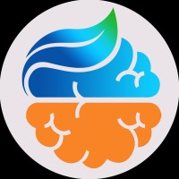 NESSOM ACADEMY