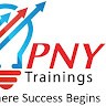 Pny Arfa