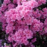 郑伦超