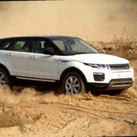 Aneesh K