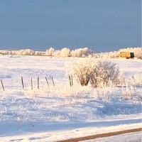 Treena Treenamcpherson1