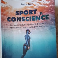 pascal maze