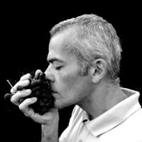 Franco Dalmonte