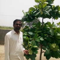 Villagers Development Organization (Vdo)