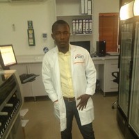 BRAIN ZONA