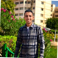 Essam M Shabrawi