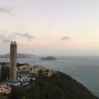 郑梓越