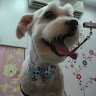 謝蕙霞
