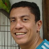 Diniz Júnior