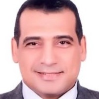 Emad S Hassan