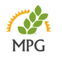 Mpg Consultancy Services