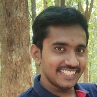 Nehru Puli