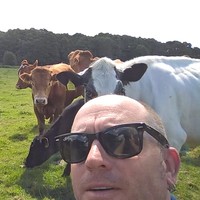 John Bristow