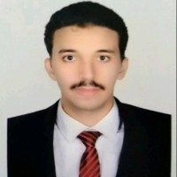 Mohamed Shedid
