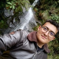 Johann Sebastian Rodriguez Vivas