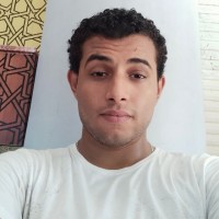 Karem fayez