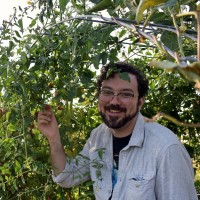 Anthony Procopio Ross