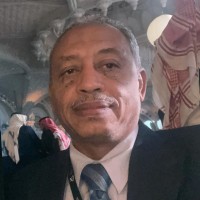 Hisham Humaida