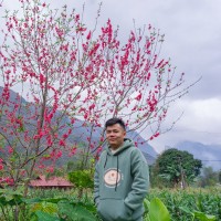 Nguyễn Thanh Thuận