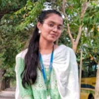 NANDINI L