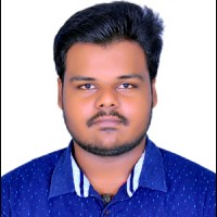 Raj Vignesh J