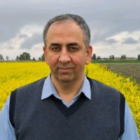 Mohammad Alikhani