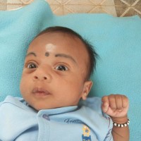 Dama muddireddy