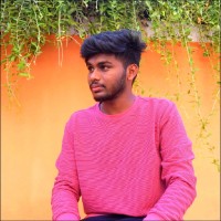Vignesh N