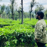 Pavan Vemula