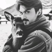 Umair Nadeem
