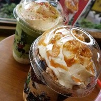 Vi Vân Trương Vũ